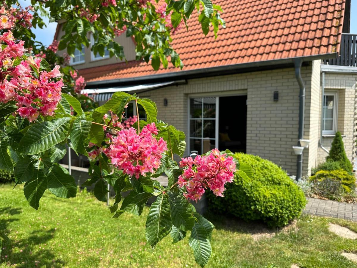 Apartament Familienurlaub Im Gruenen Wernigerode Zewnętrze zdjęcie