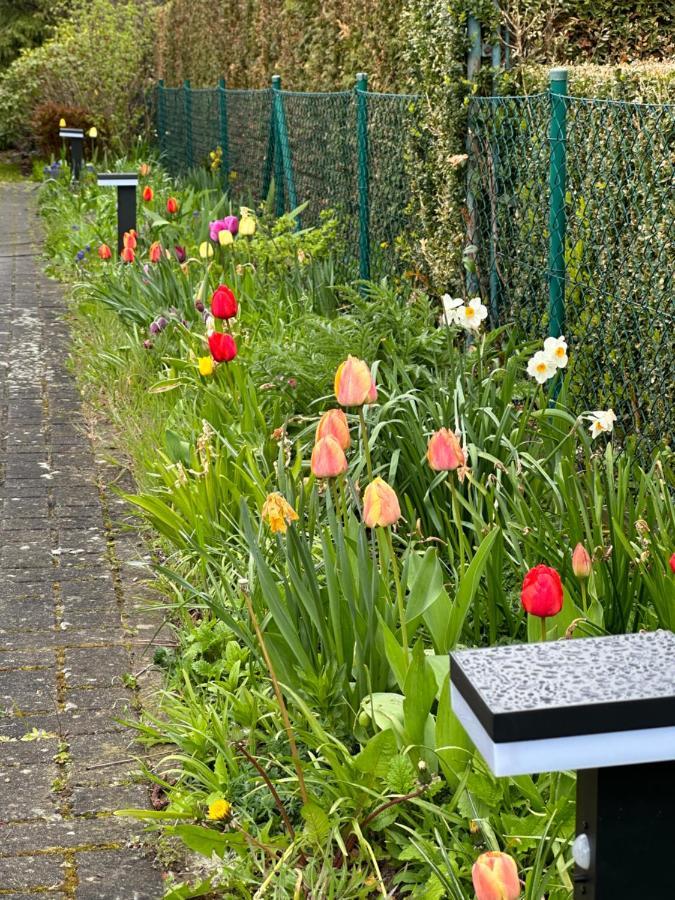 Apartament Familienurlaub Im Gruenen Wernigerode Zewnętrze zdjęcie